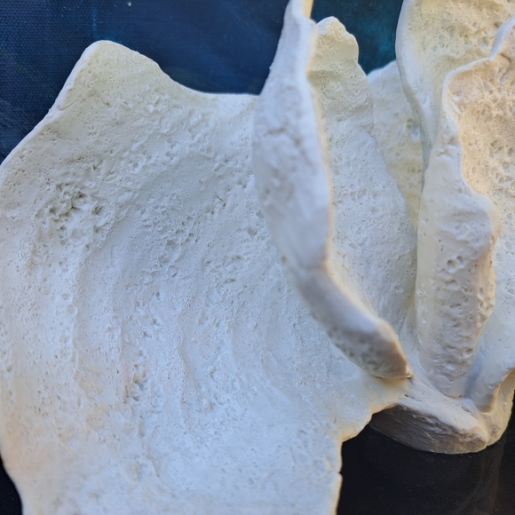 Faux white Coral Decor on Acrylic Base - Picture 6 of 10